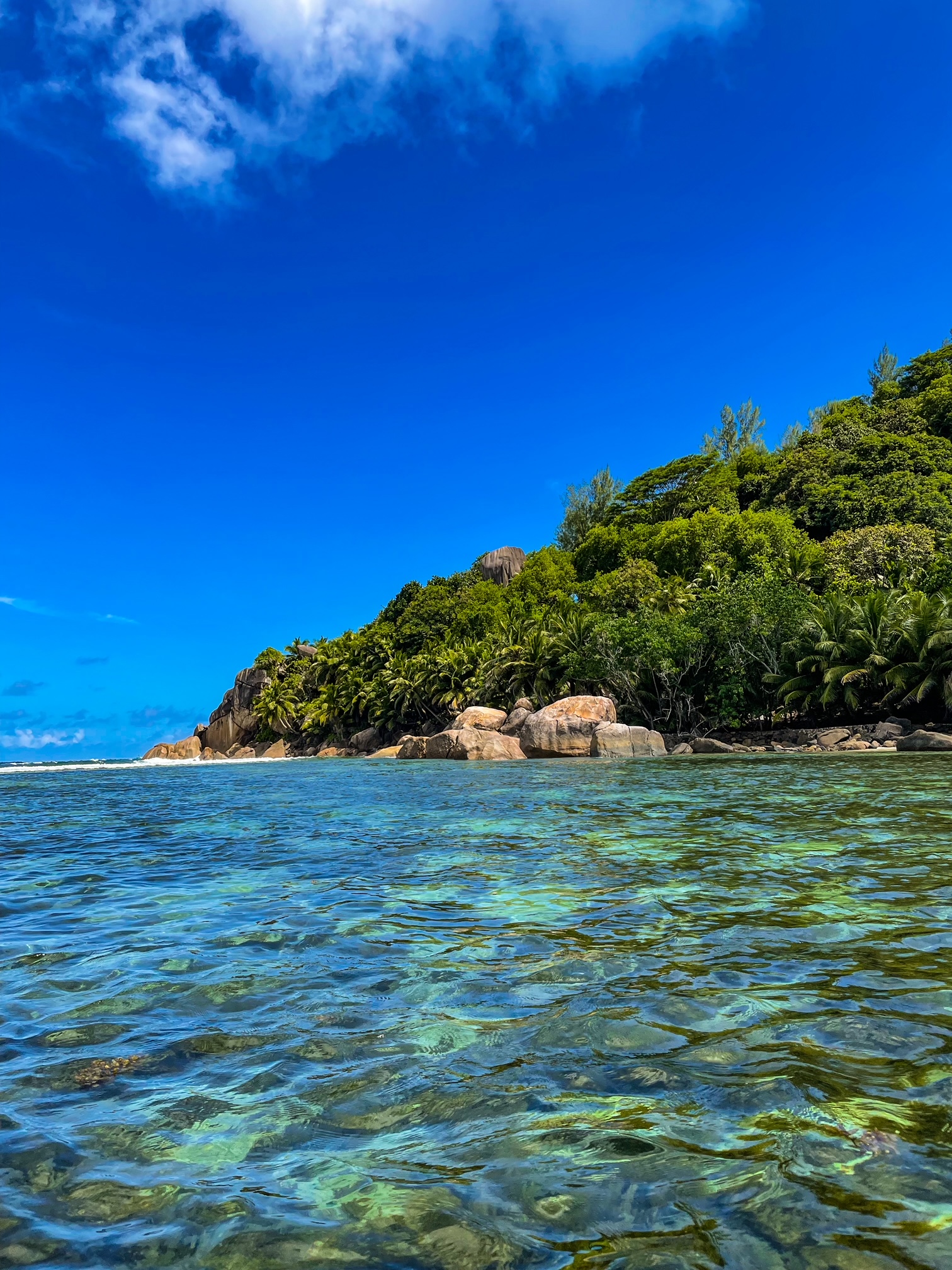 things to do in Seychelles