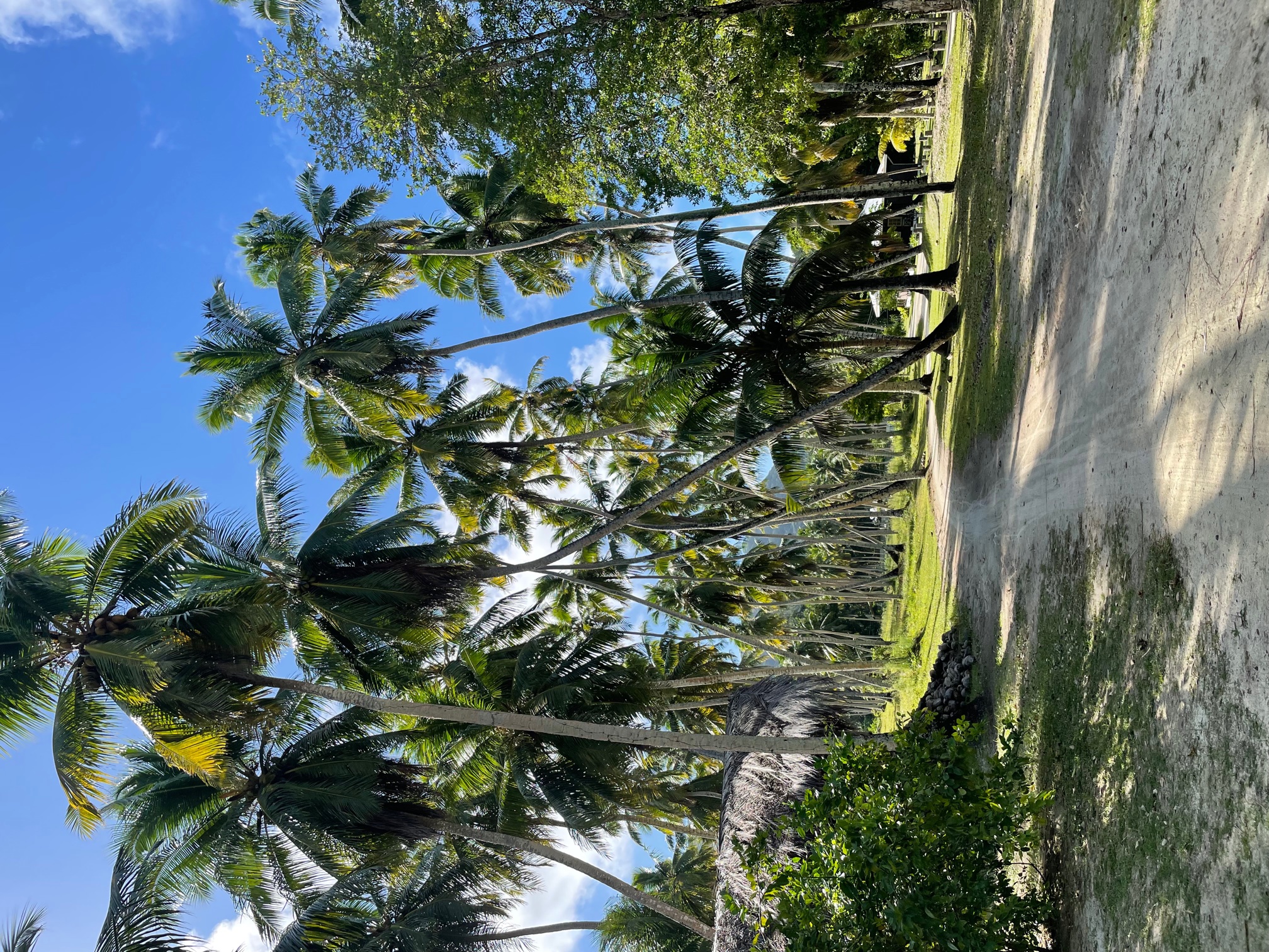 LA DIGUE + PRASLIN