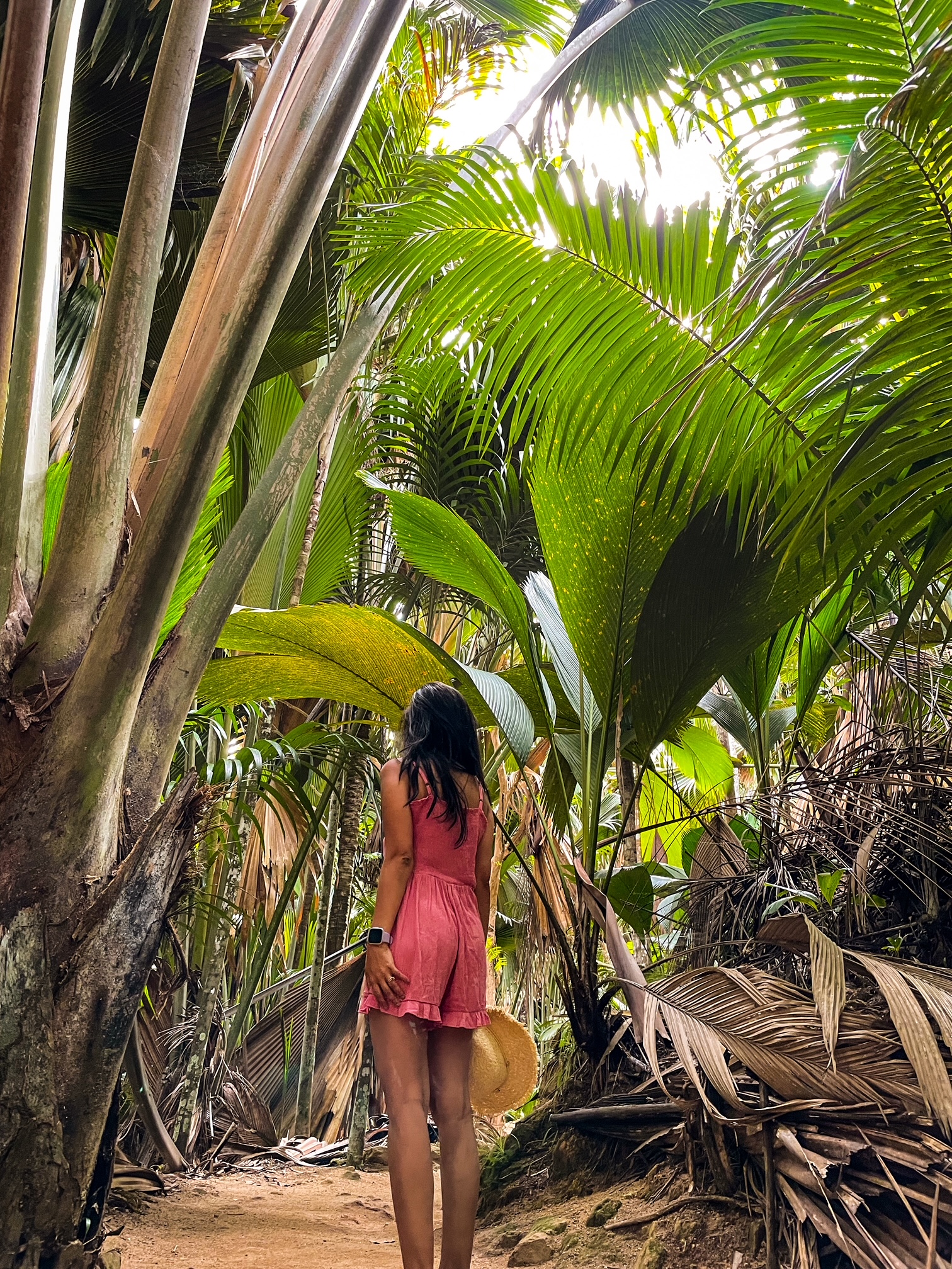things to do in Seychelles