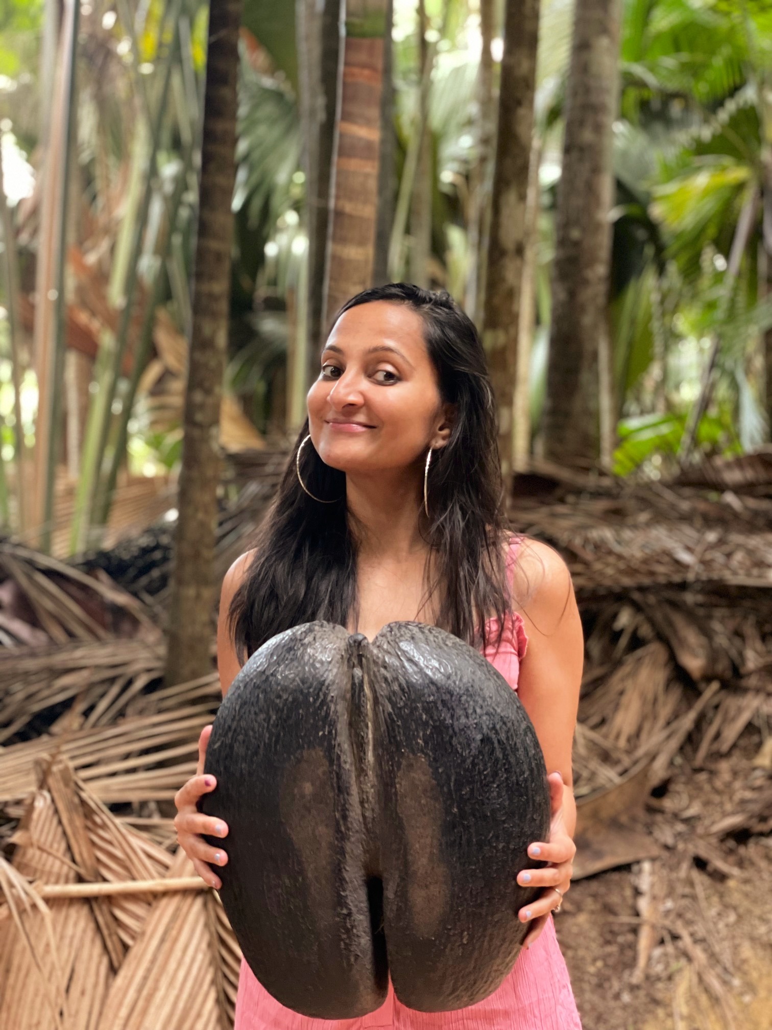 coco de mer nut