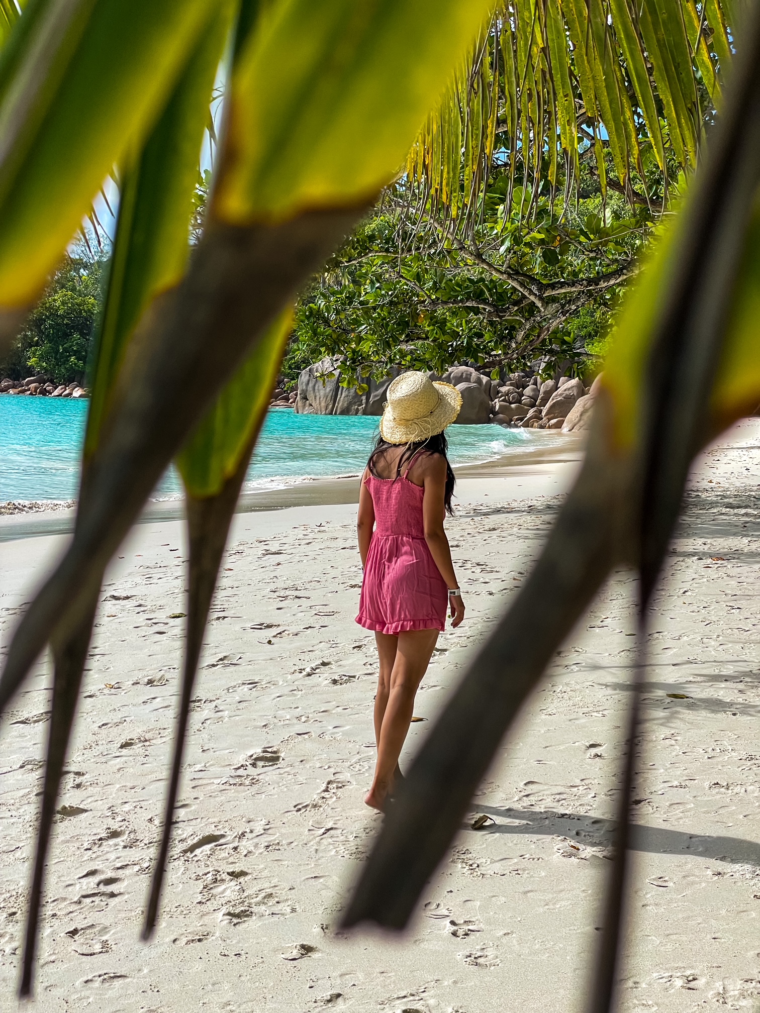 things to do in Seychelles