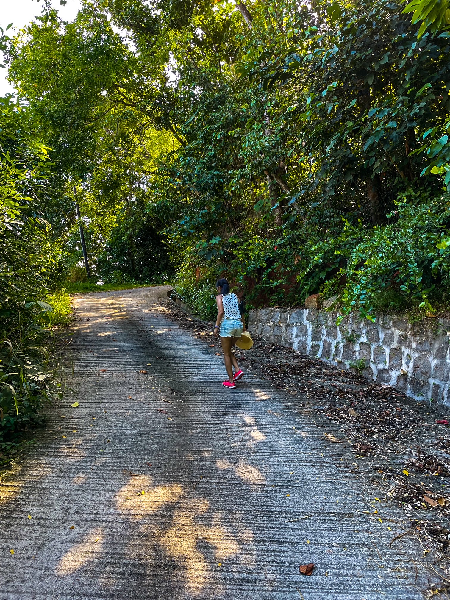 things to do in Seychelles