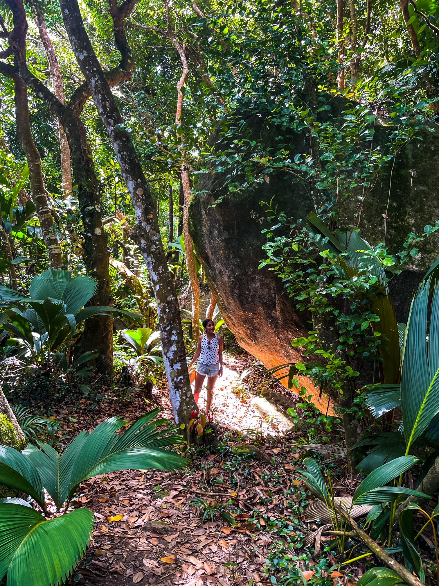 things to do in Seychelles