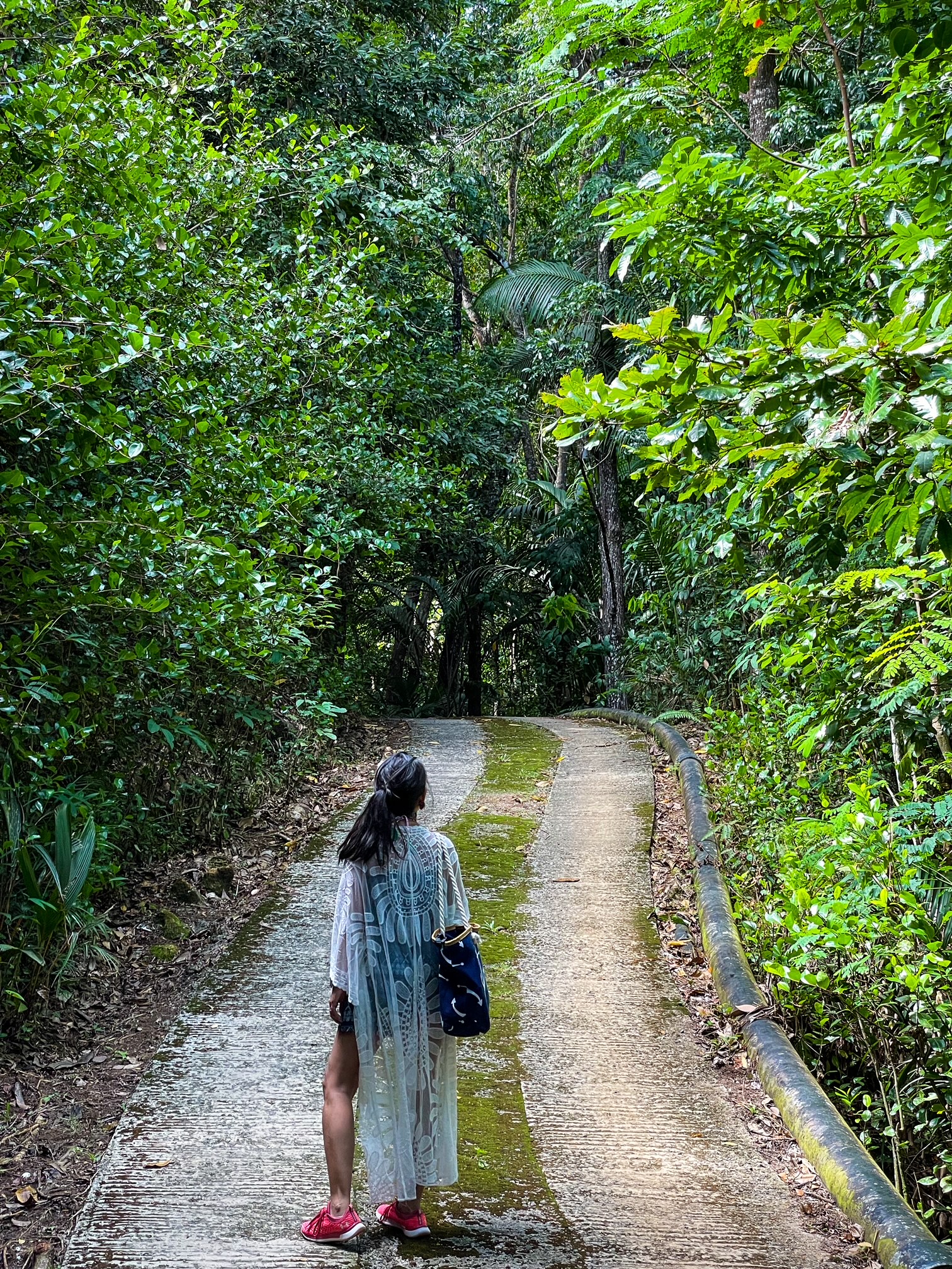 things to do in Seychelles