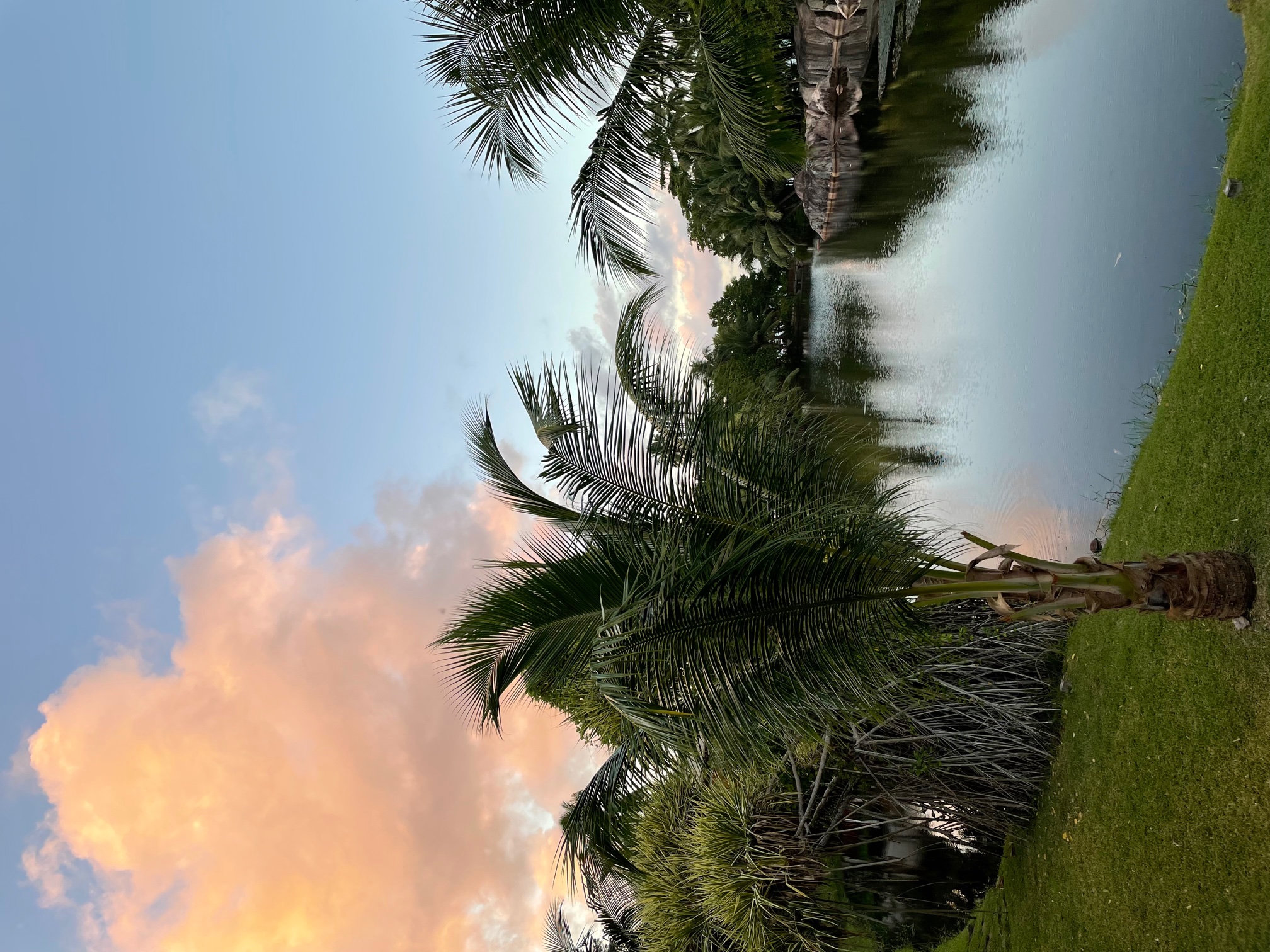 morning view - seychelles