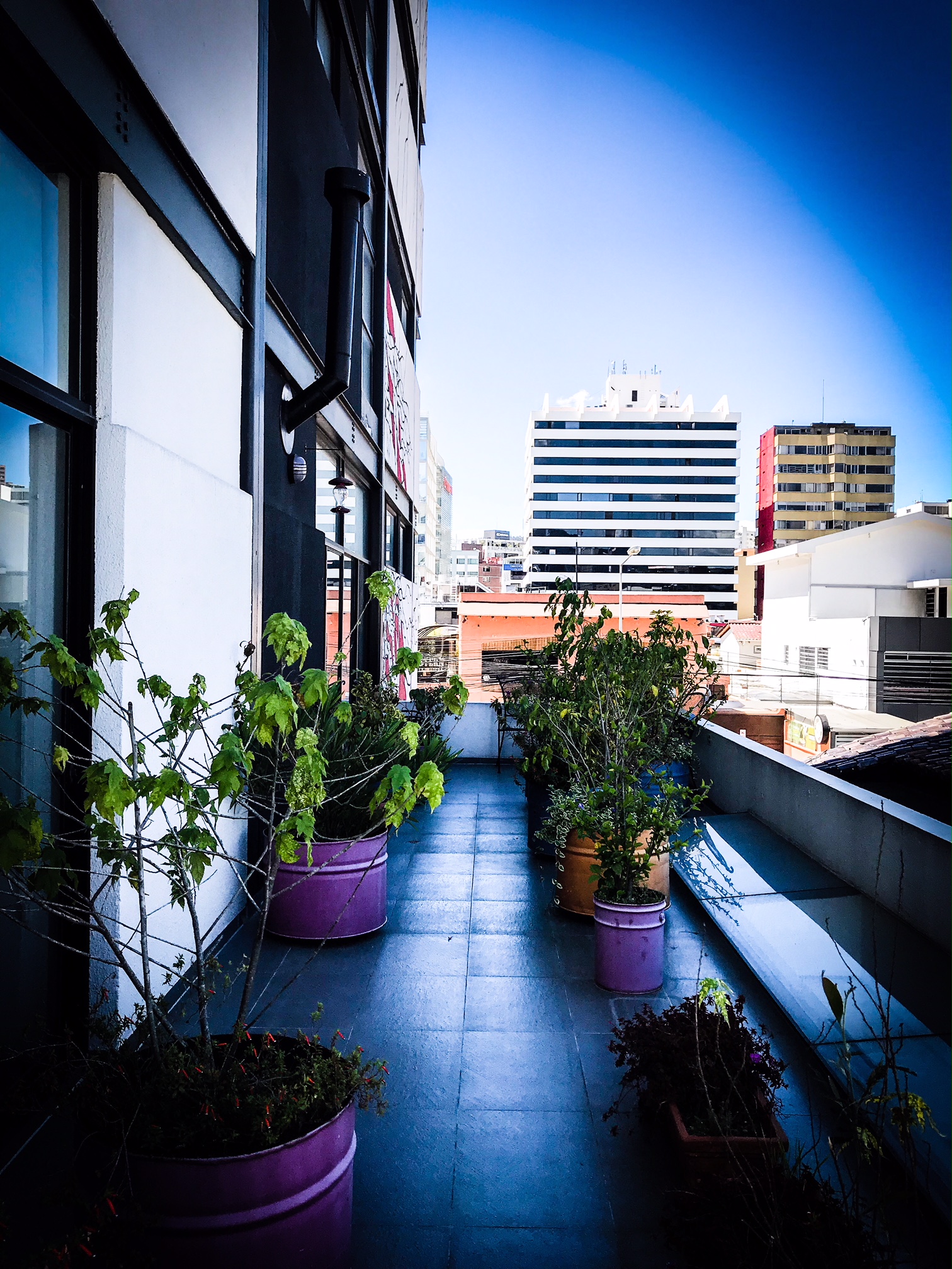 Quito travel guide